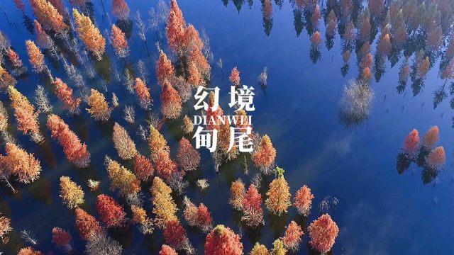 太阳报:鲁本-迪亚斯与女友分手,后者重返真人秀节目寻找新欢
