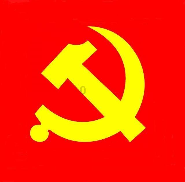 拯救小萌虎